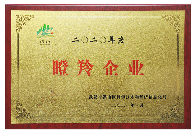 瞪羚企業