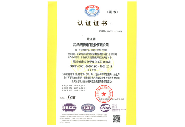 漢德職業健康安全管理體系證書-2025.12.30